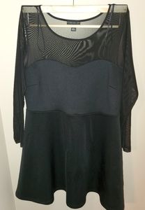 Black Skater Dress Sheer Sleeves